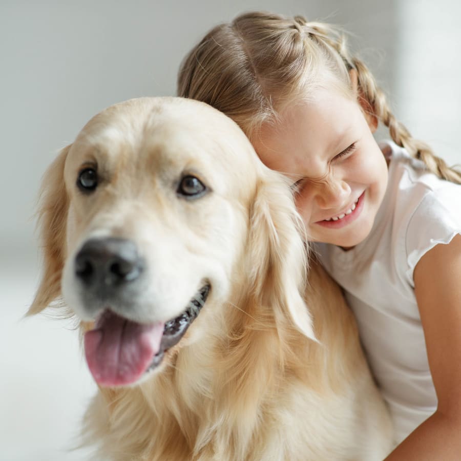 Best dogs for kids, golden retriever