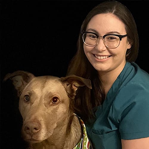 Dr. Lexi Meverden, Lisle Veterinarian